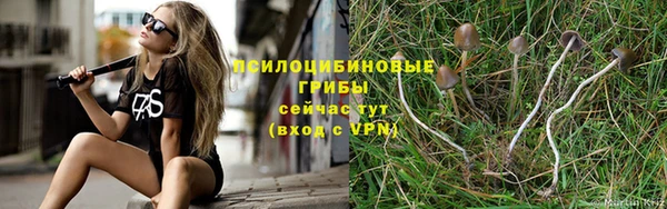 прущая мука Кулебаки