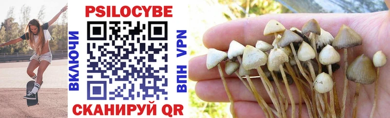 Псилоцибиновые грибы Cubensis купить наркоту Макаров